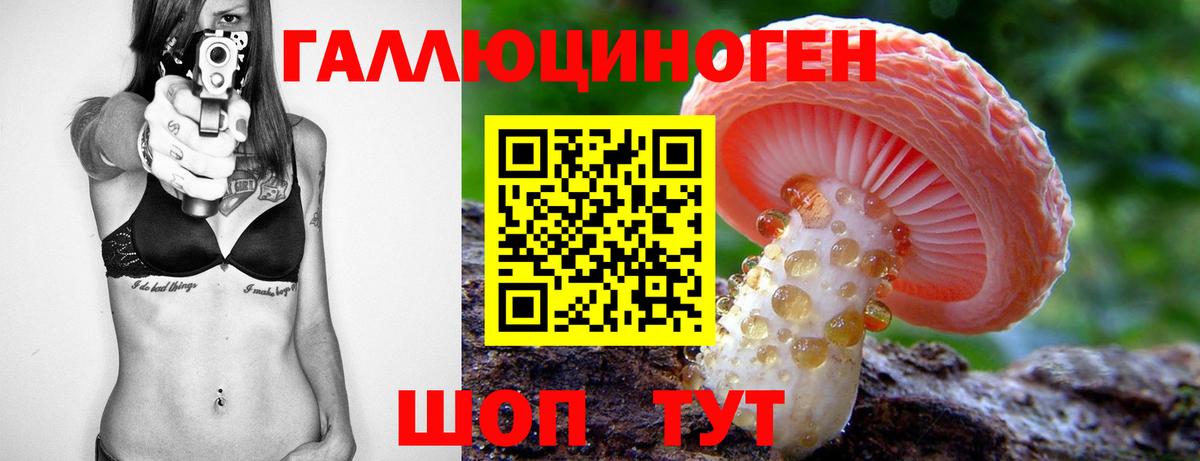 Галлюциногенные грибы прущие грибы  Вход с VPN  Галлюциногенные грибы Psilocybine cubensis  Белово 